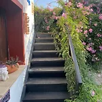 الضيافة بيتول بيت ضيافة 3*