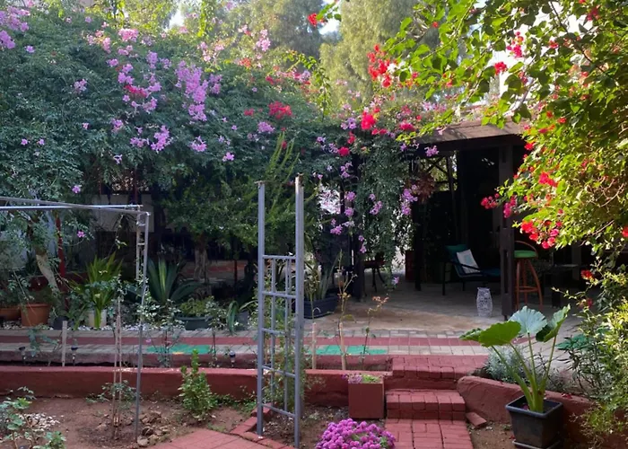 ゲストハウス Betul ファマグスタ