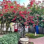 Guest house Betul Famagusta (Northern Cyprus)