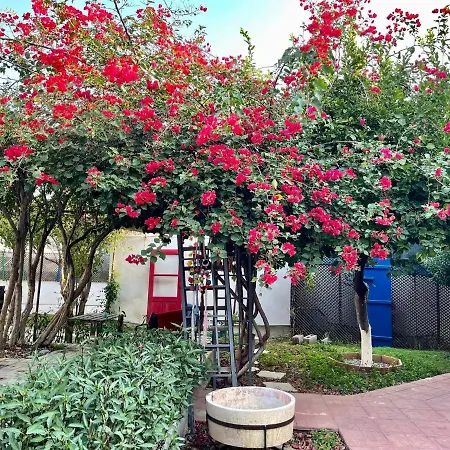 招待所 拜图旅馆 法马古斯塔