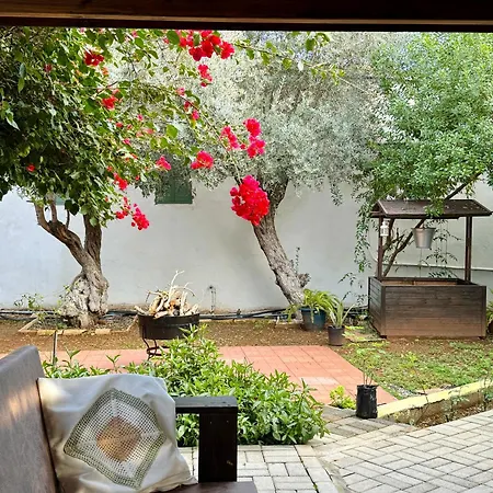 拜图旅馆 招待所