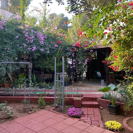 招待所 拜图旅馆 法马古斯塔