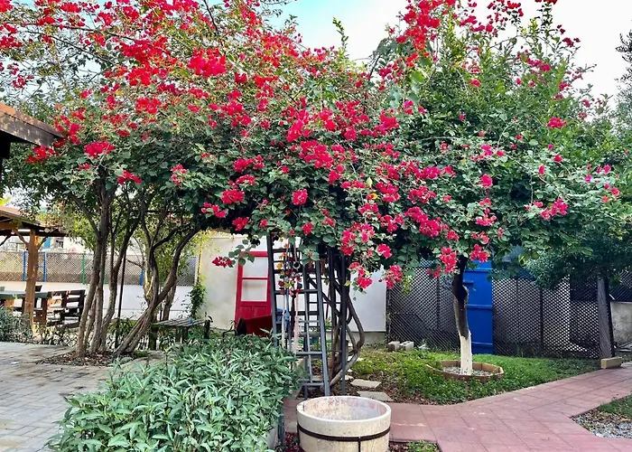 Konukevi Betul Gazimağusa